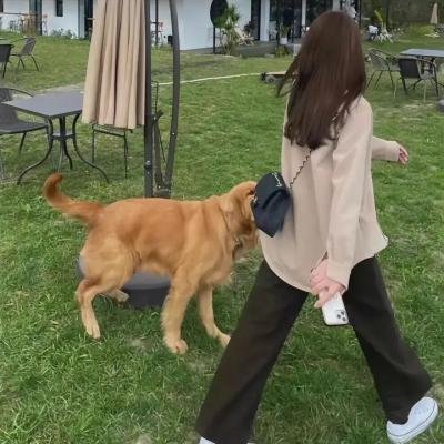 扭转未来